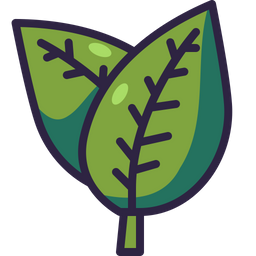 Leaf  Icon