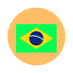 Brazil Flag  Icon