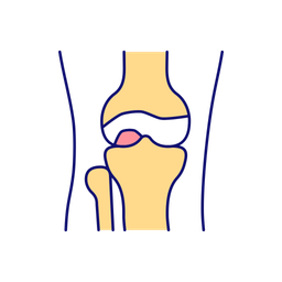 Knee joint  Icon