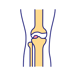 Leg bones and joints  Icon