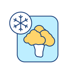 Vegetable freezing  Icon