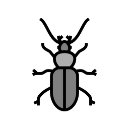 Beetle  Icon