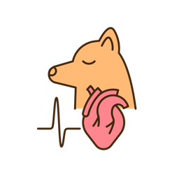 Pet heart disease  Icon