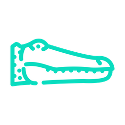 Alligator  Icon