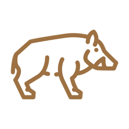 Boar  Icon