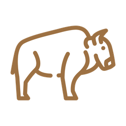 Buffalo  Icon