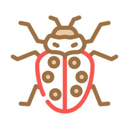 Ladybug  Icon