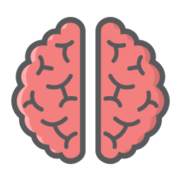 Brain  Icon