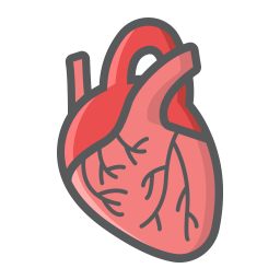 Heart  Icon