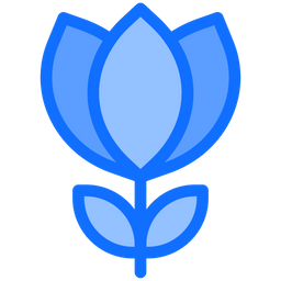 Flower  Icon