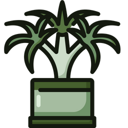 Dracaena  Icon