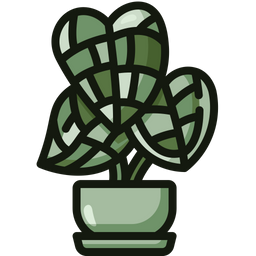 Elephant ear  Icon