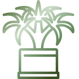 Dracaena  Symbol