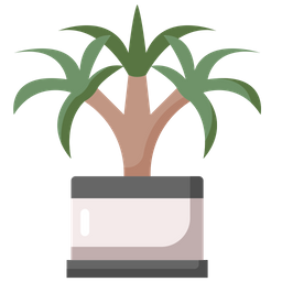 Dracaena  Symbol