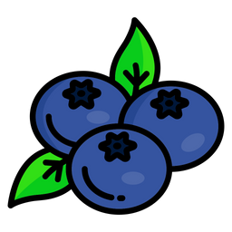 Blueberry  Icon