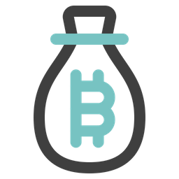 Bitcoin Bag  Icon