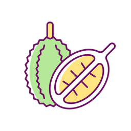 Durian  Icon