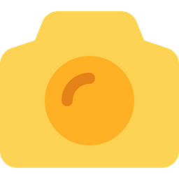 Camera  Icon