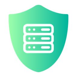 Data Security  Icon