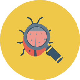 Bug  Icon