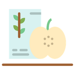 Diet Chart  Icon