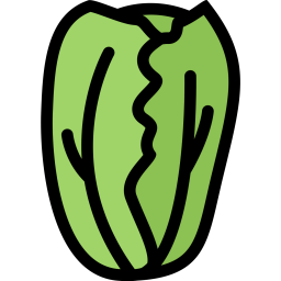 Cabbage  Icon