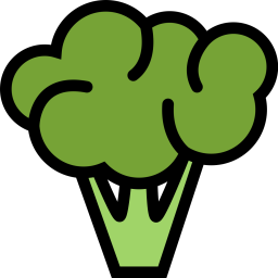 Broccoli  Icon