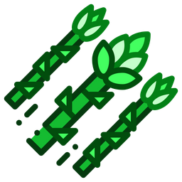 Asparagus  Icon