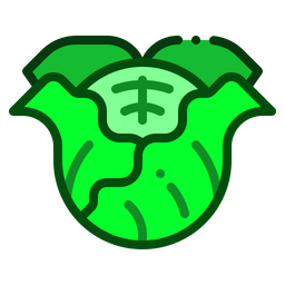 Cabbage  Icon