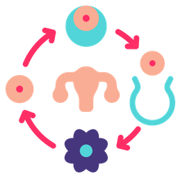 Fertility cycle  Icon