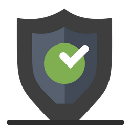 Check Security  Icon