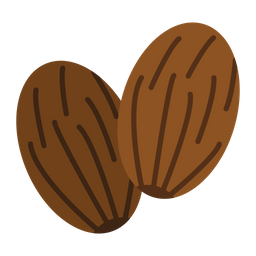 Nutmeg  Icon