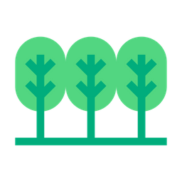 Forest  Icon