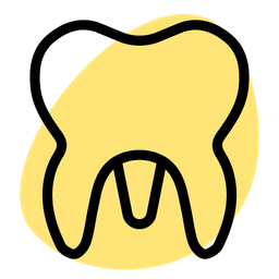 Molar  Icon