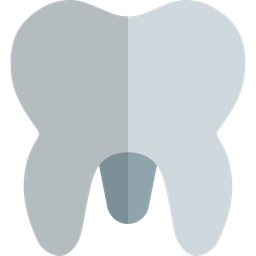 Molar  Icon