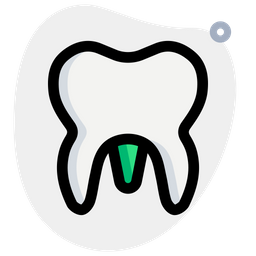 Molar  Icon