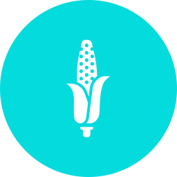 Corn  Icon