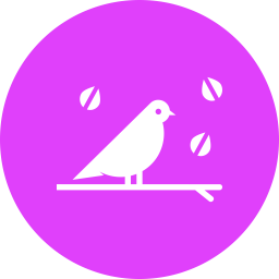 Bird  Icon