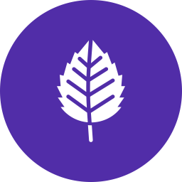 Birch  Icon