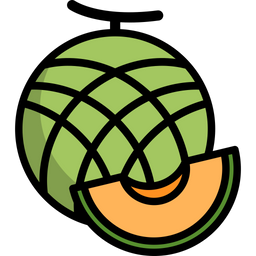 Cantaloupe  Icon