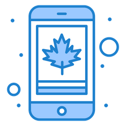 Canada Cell  Icon