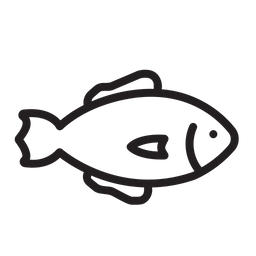 Fish  Icon