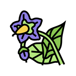 Auberginenblüte  Symbol