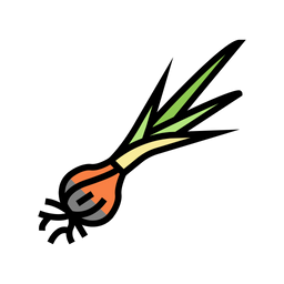 Onion Plant  Icon