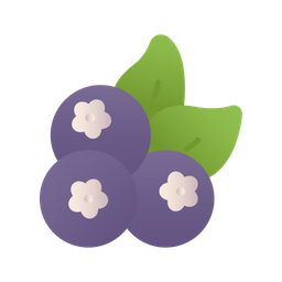 Berry  Icon