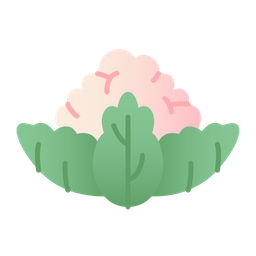 Cauliflower  Icon