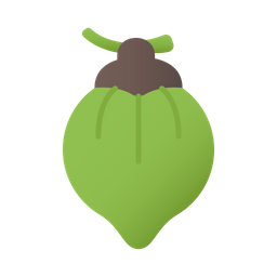 Coconut  Icon