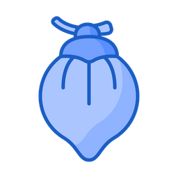 Coconut  Icon