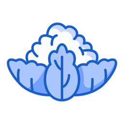 Cauliflower  Icon