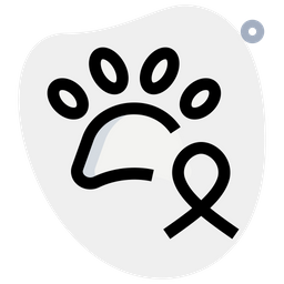 Animal Cancer  Icon